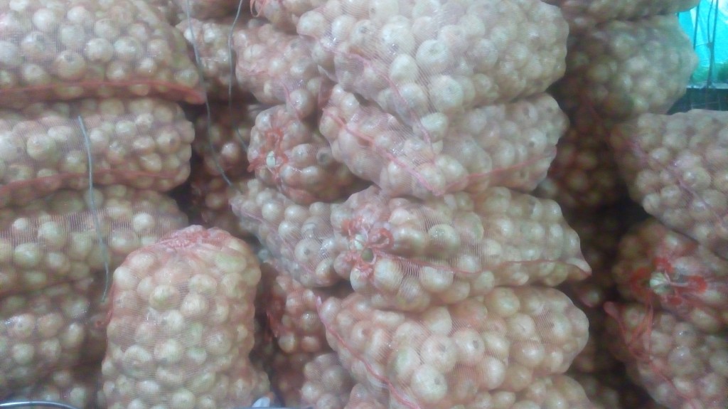 Cebolla cabezona blanca fina