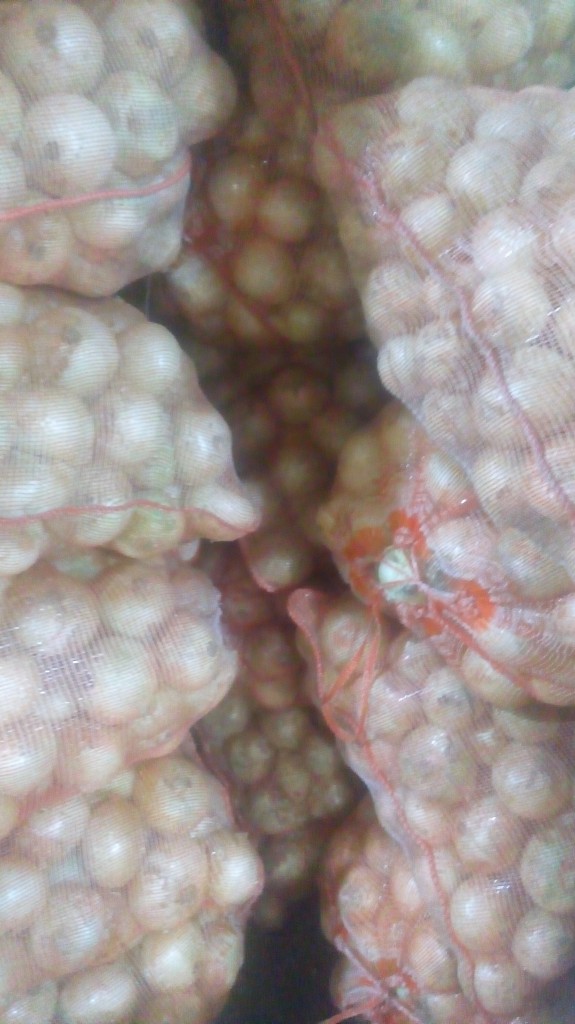 Cebolla cabezona blanca gruesa