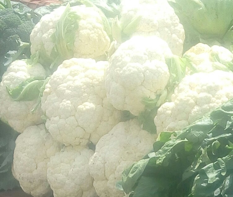 Coliflor