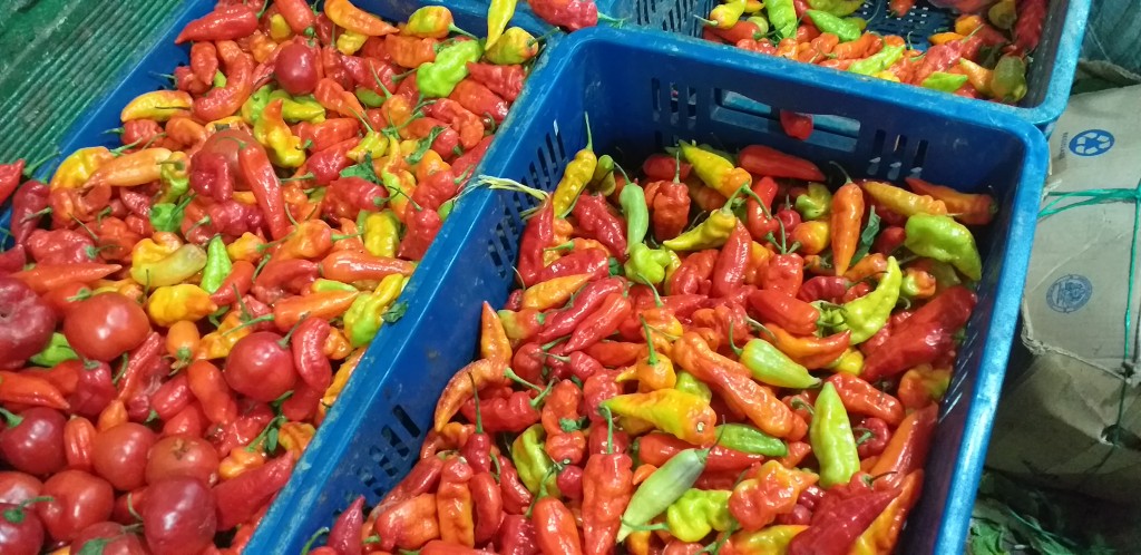Aji dulce