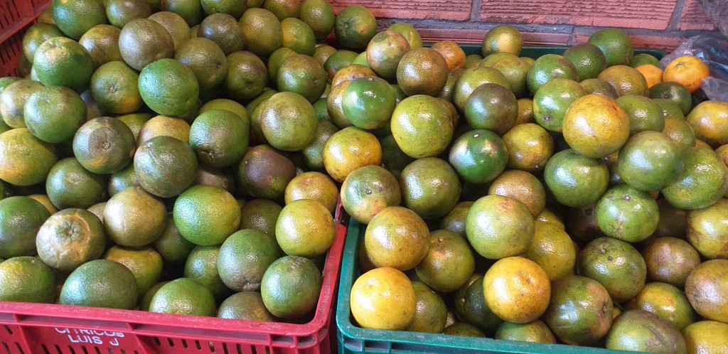 Naranja valencia manchada