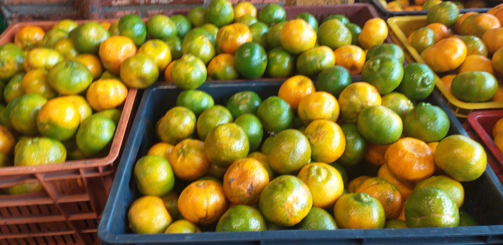 Mandarina oneco