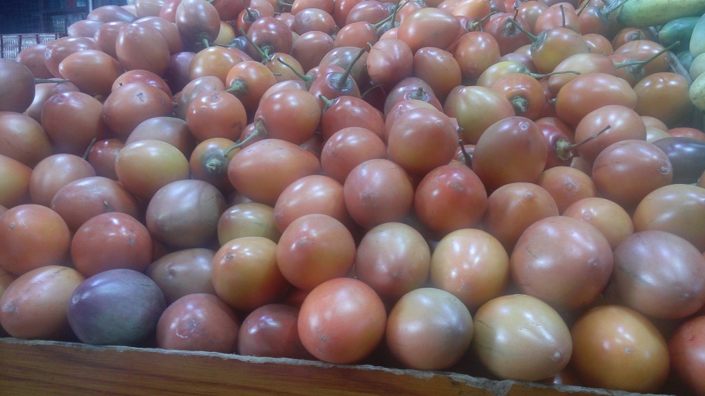 Tomate de árbol