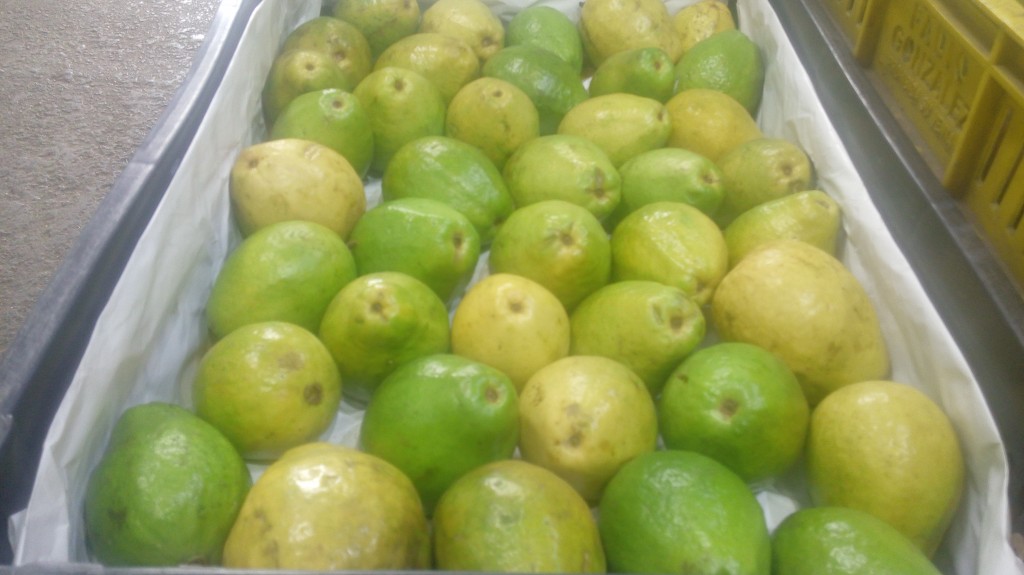 Guayaba