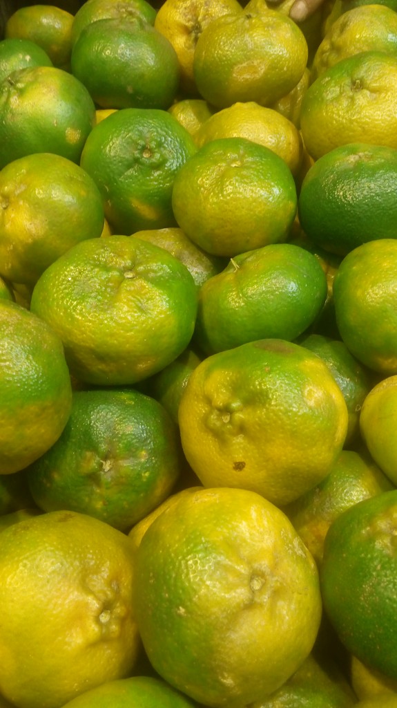 Mandarina arrayana pareja