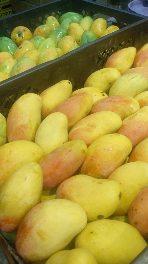 Mango pajarito