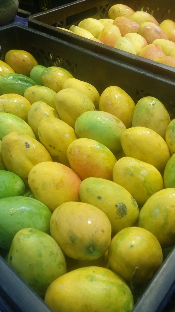 Mango común