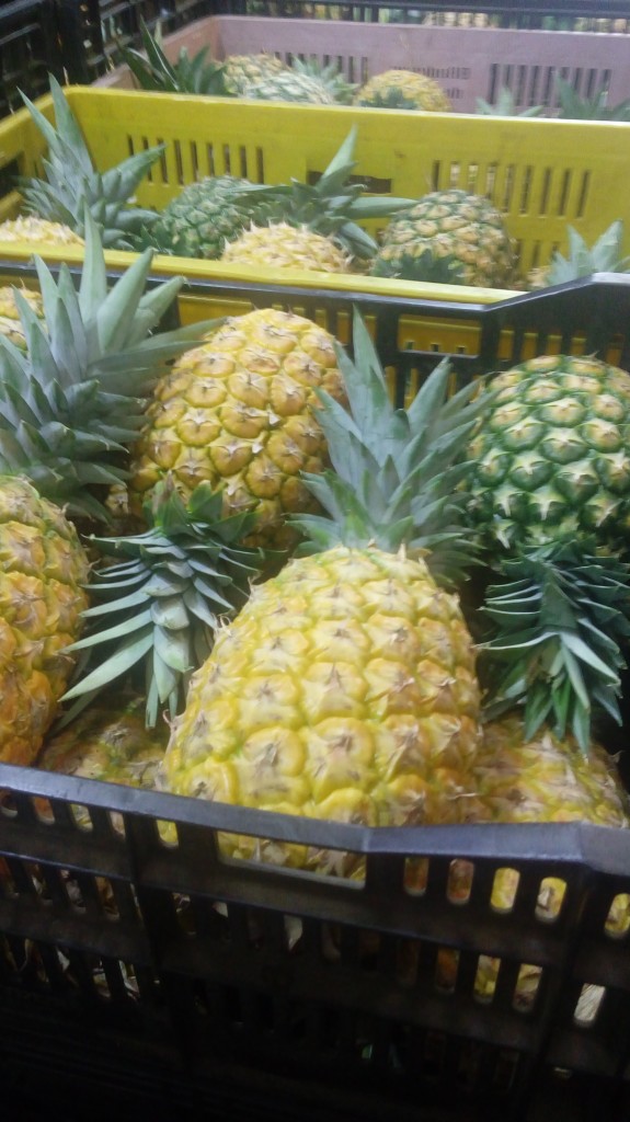 Piña golden