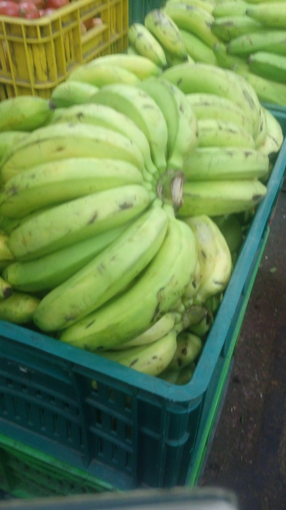 Banano criollo