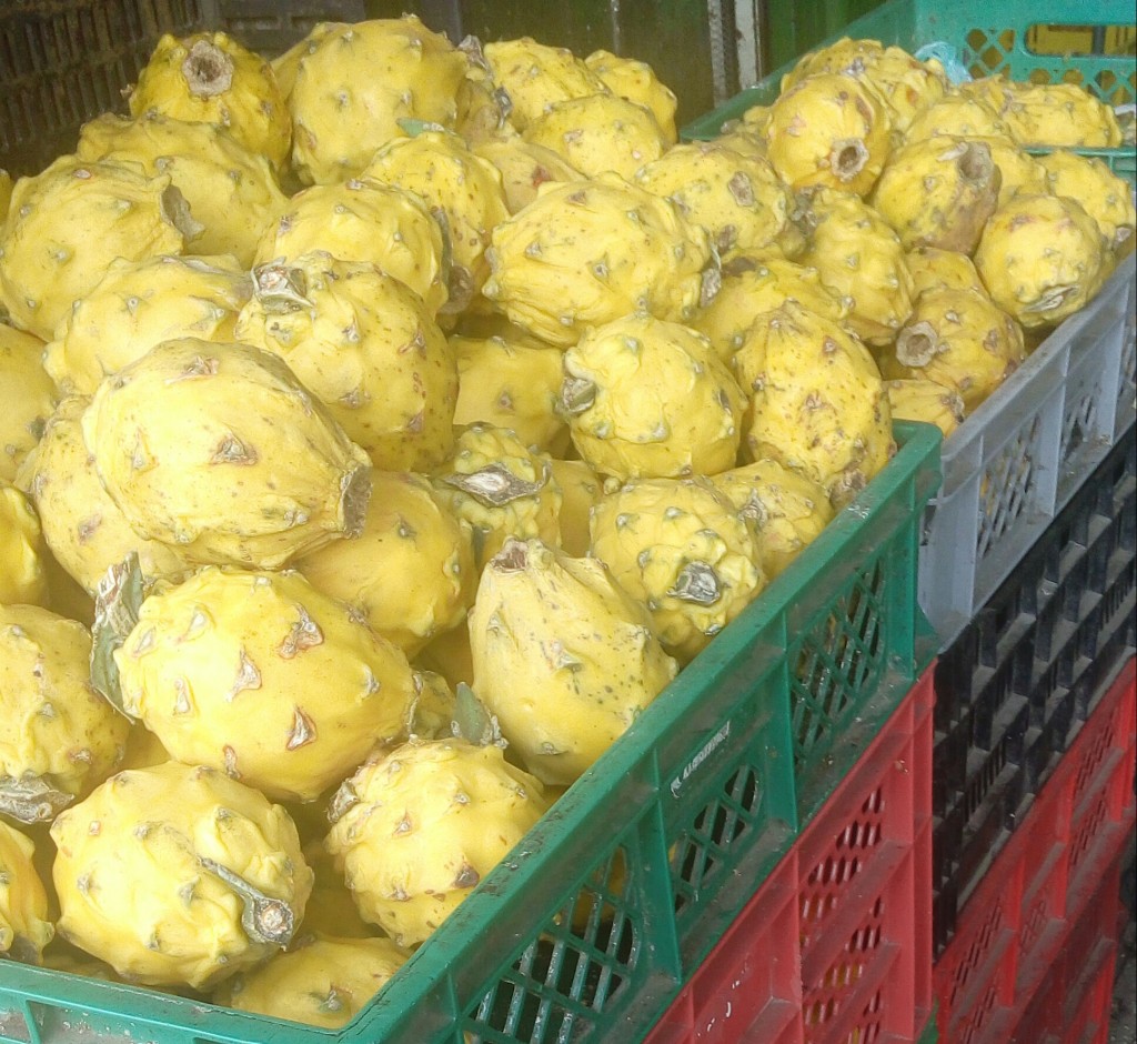 Pitaya