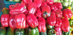 Pimenton rojo grueso