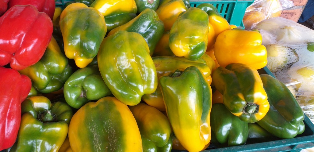 Pimenton amarillo grueso