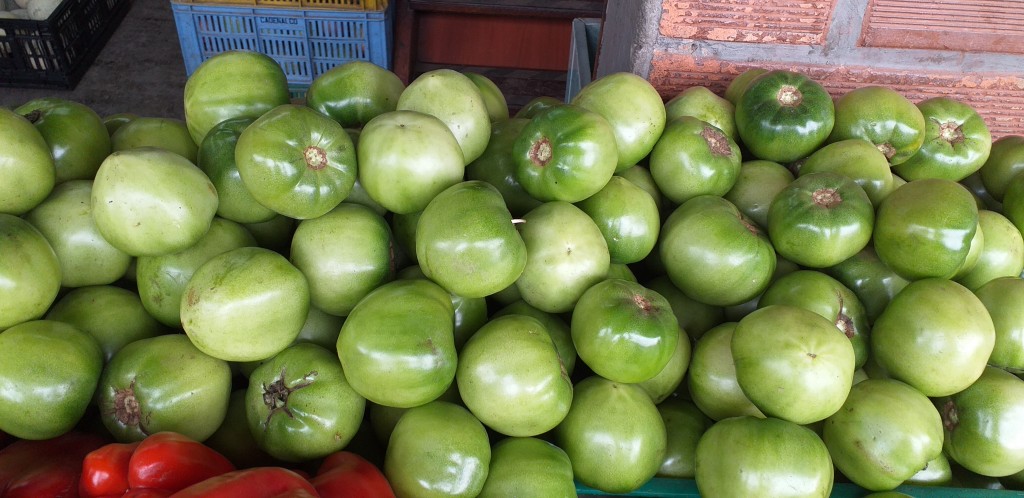 Tomate riñon
