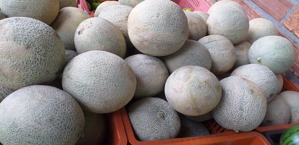 Melon