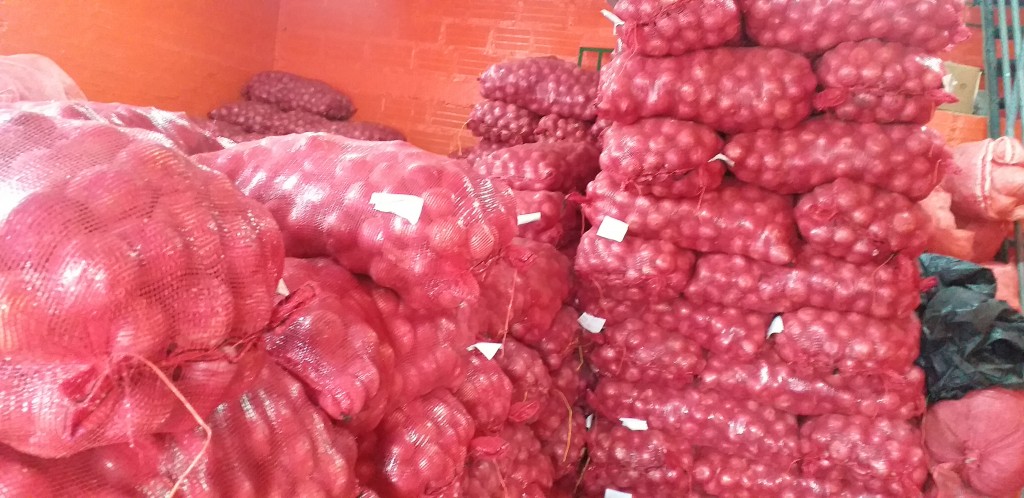 Cebolla peruana