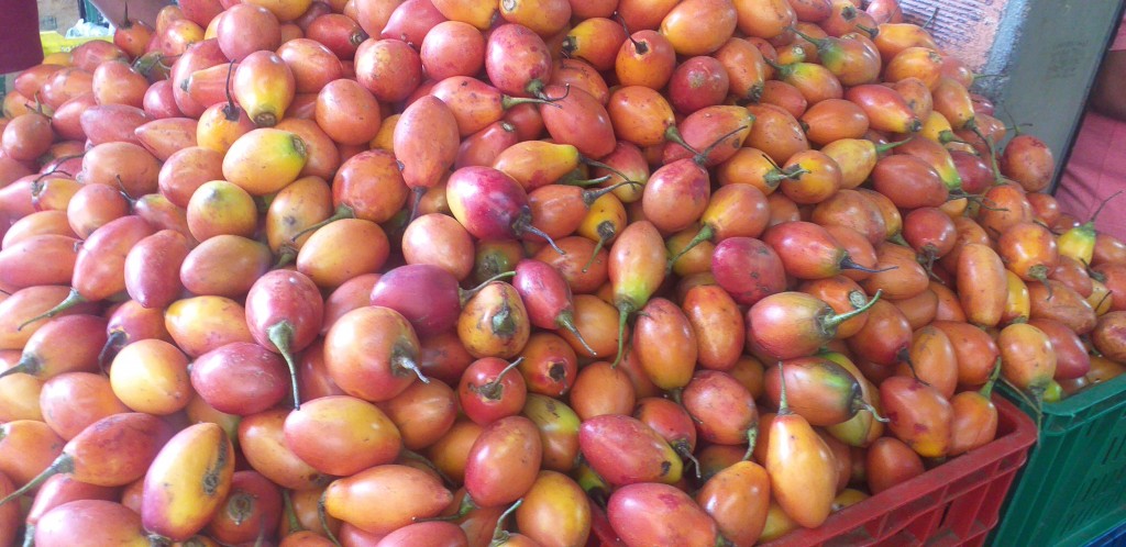 Tomate de arbol