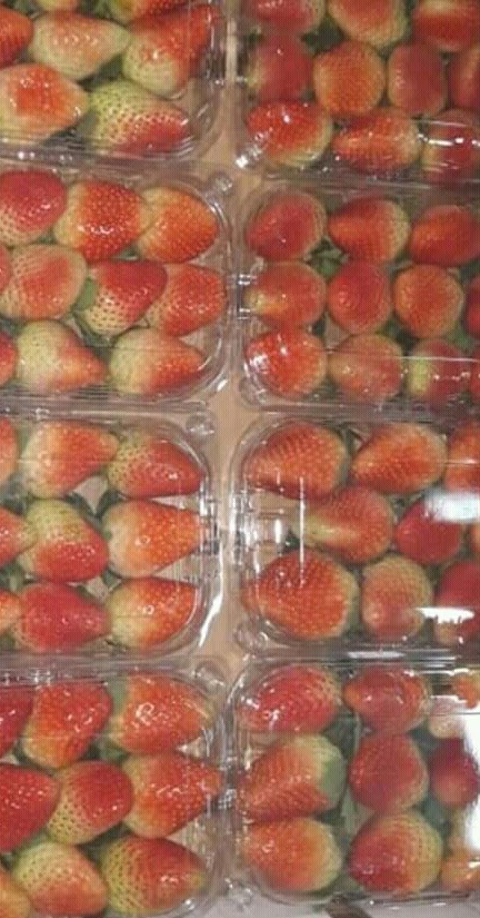 Fresa selecta