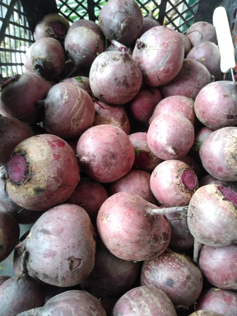 Remolacha