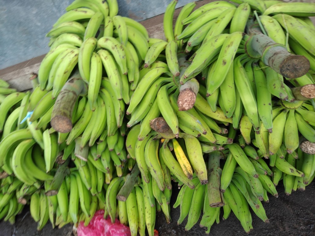 Plátano harton