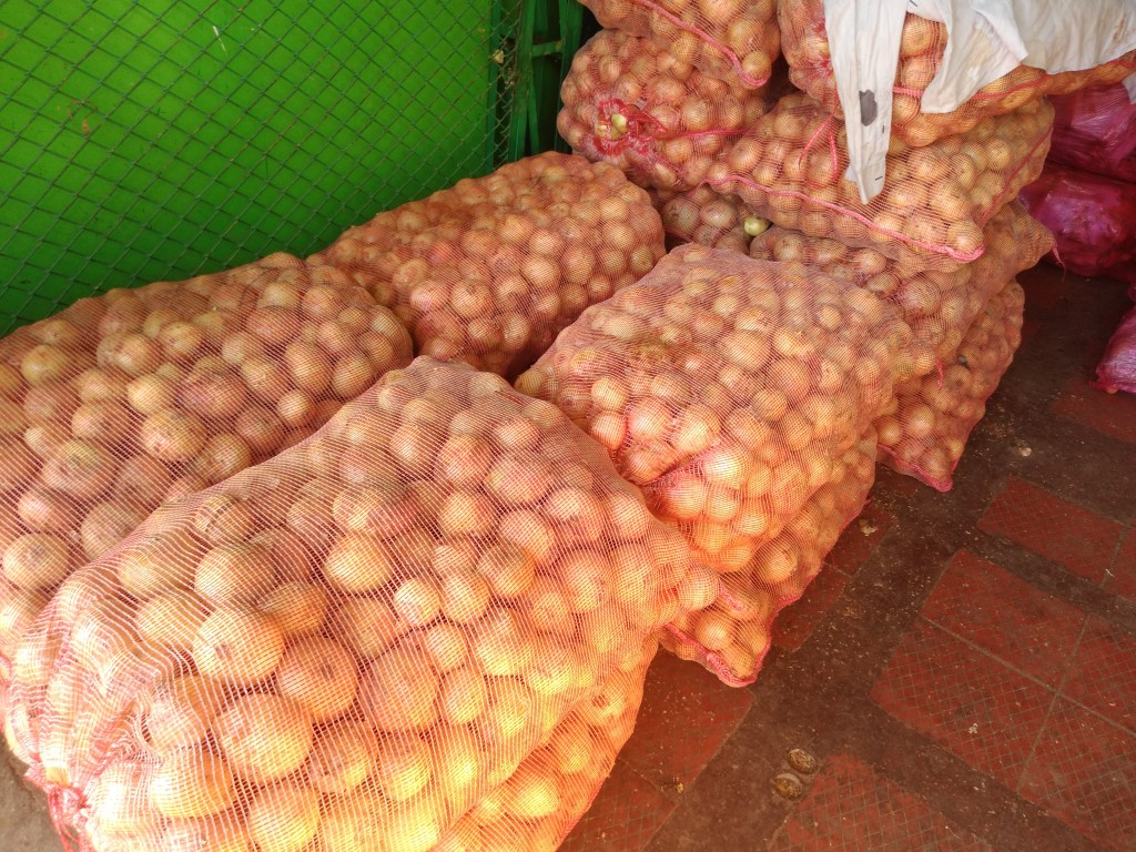Cebolla huevo