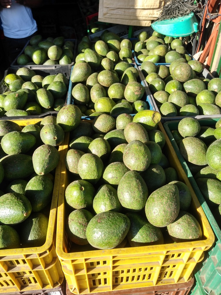 Aguacate Booth 8