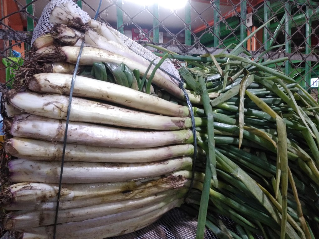 Cebolla larga bogotana