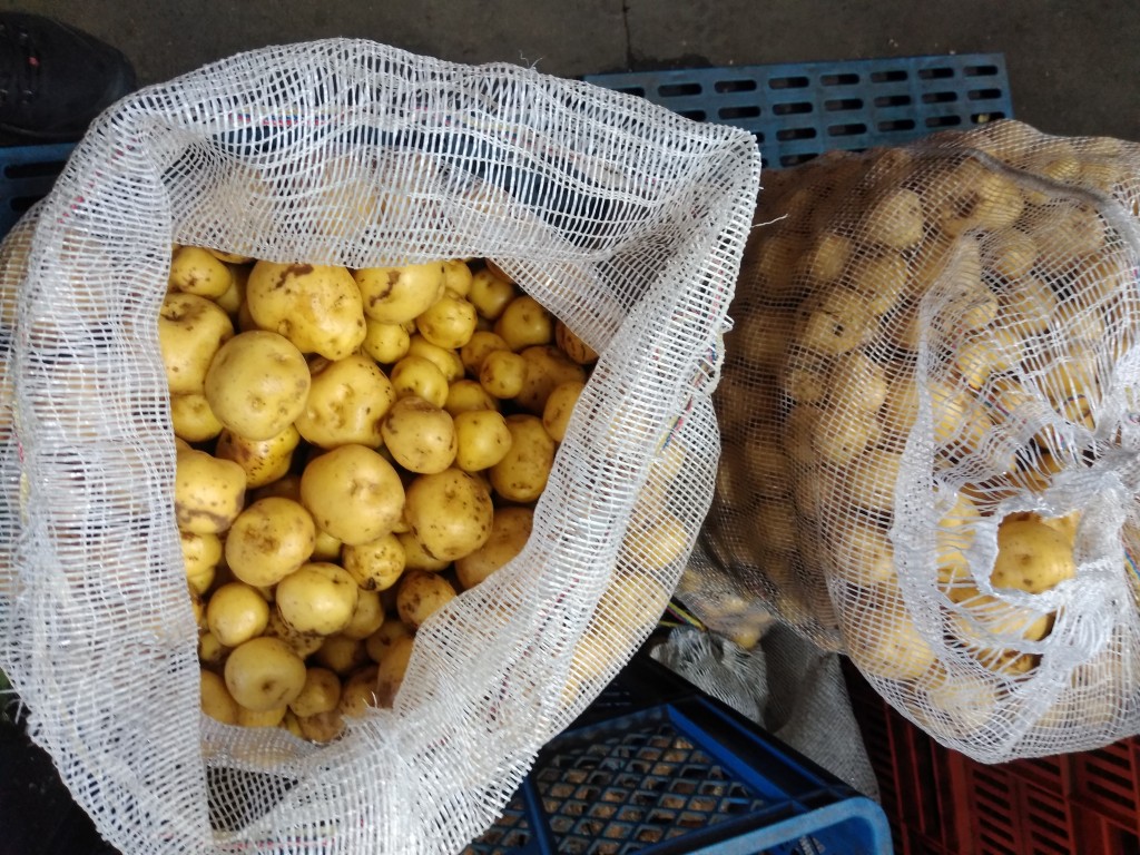 Papa criolla bogotana