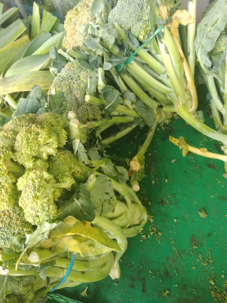 Brócoli