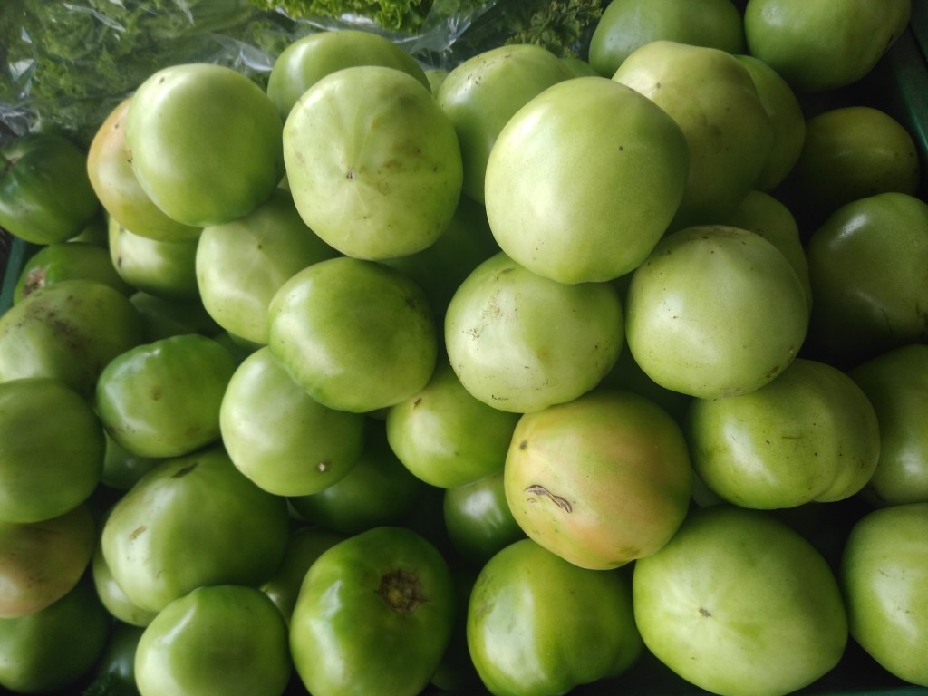 Tomate riñón