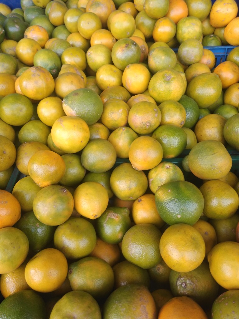 Naranja tangelo 1ra