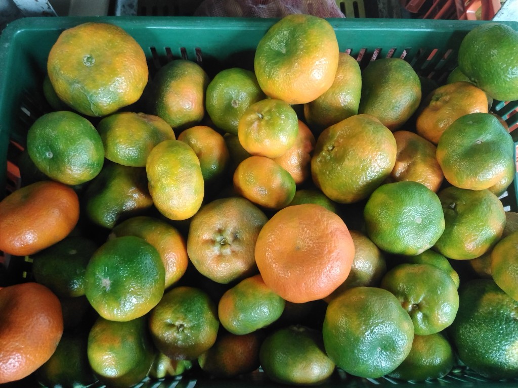 Naranja Salustiana — foto 10 de 10