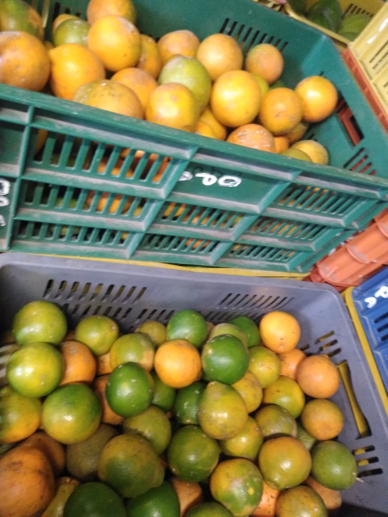 Naranja tangelo