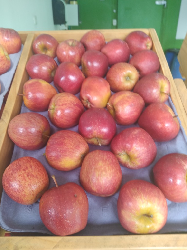 Manzana roja/calibre 125