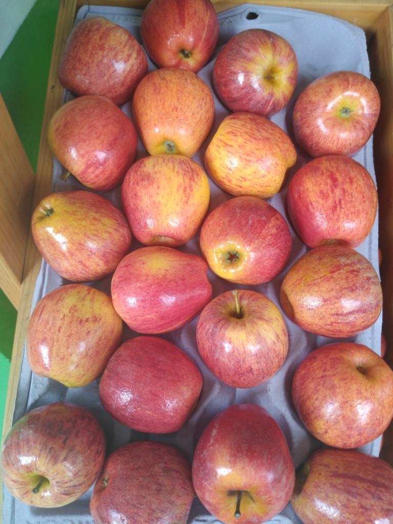 Manzana gala roja