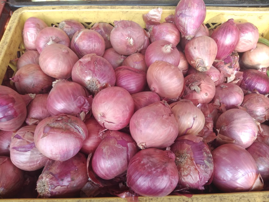 Cebolla peruana