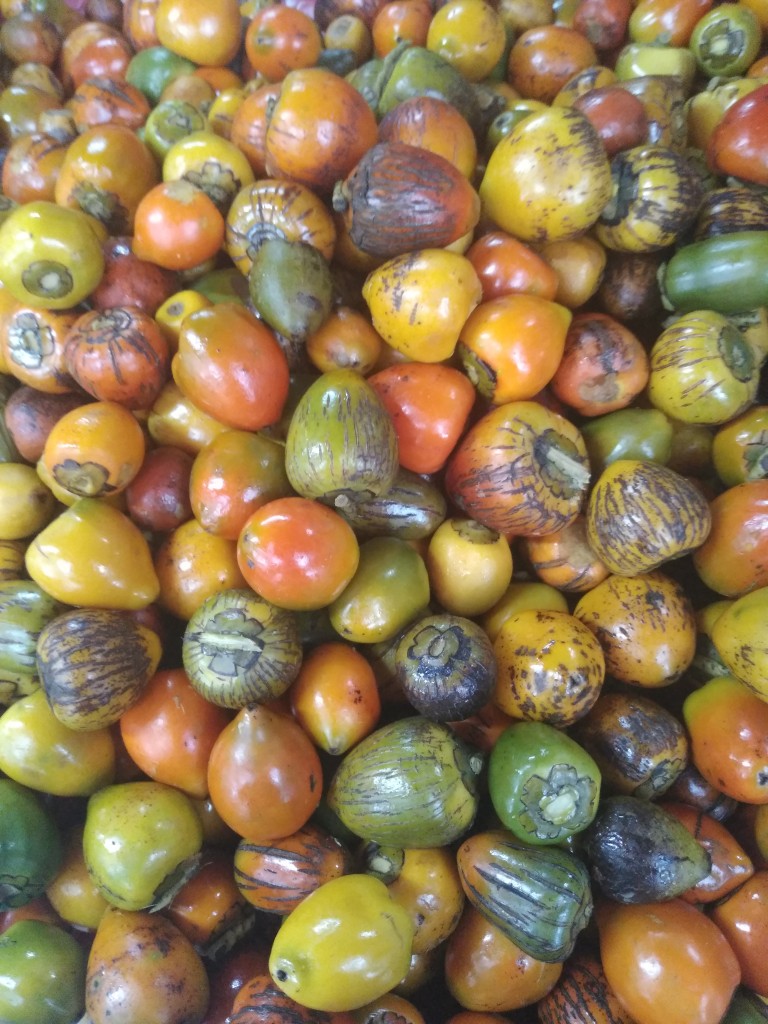 Chontaduro