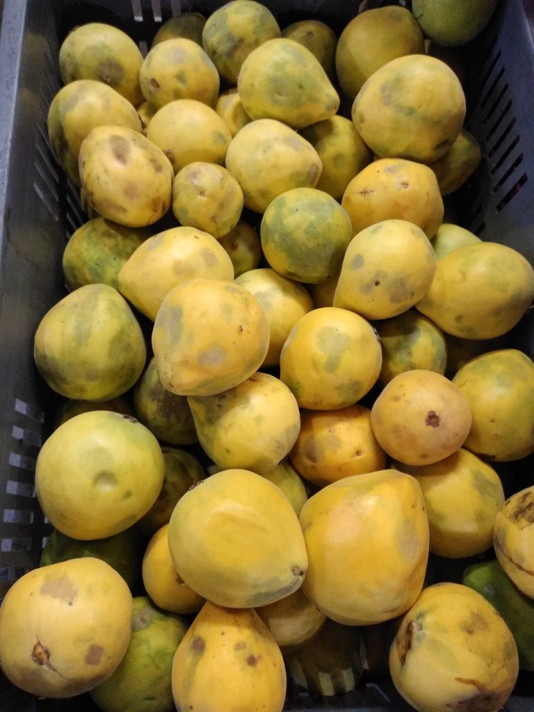 Guayaba arazá