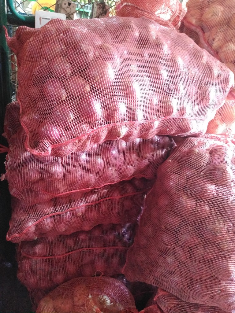 Cebolla morada ocañera