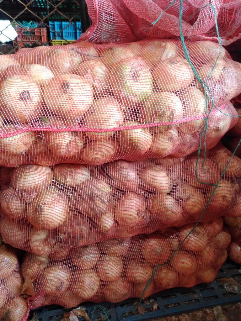 Cebolla de huevo cero
