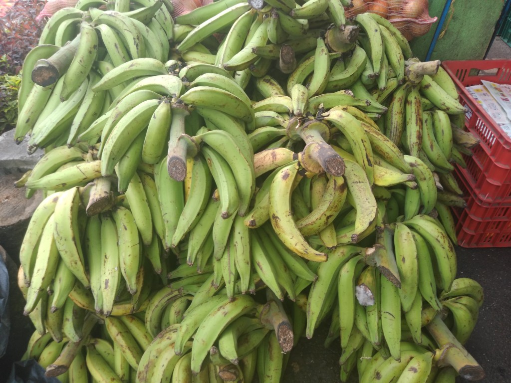 Plátano harton