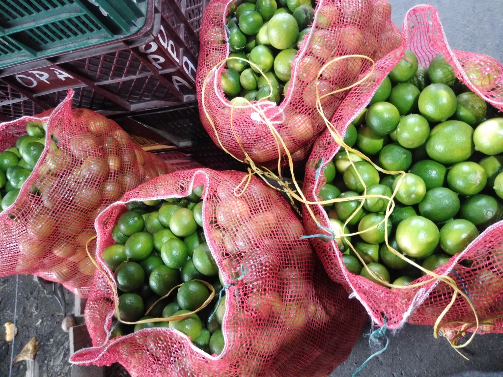 Limón taithi 1ra