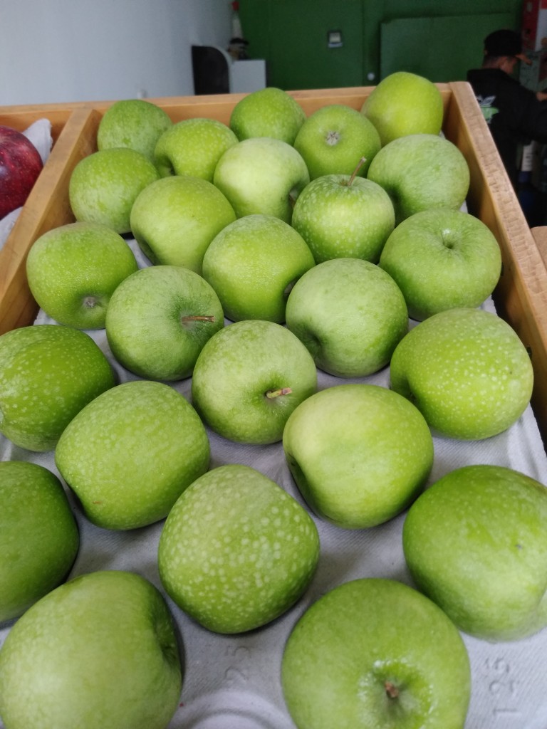 Manzana verde chilena
