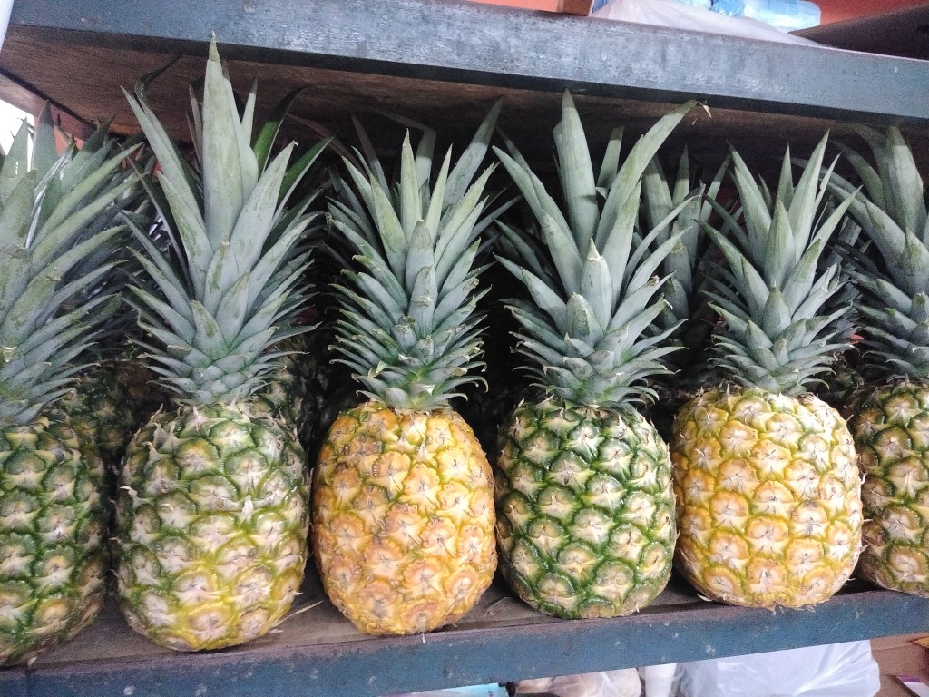 Piña oro miel 1ra