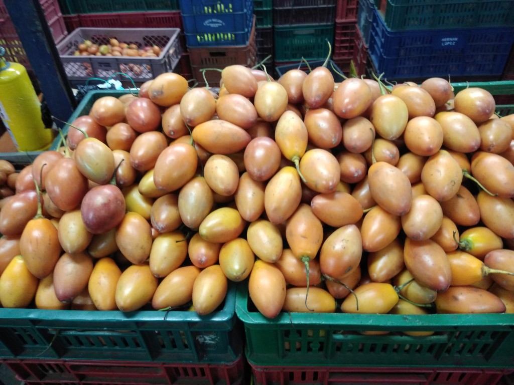Tomate de árbol