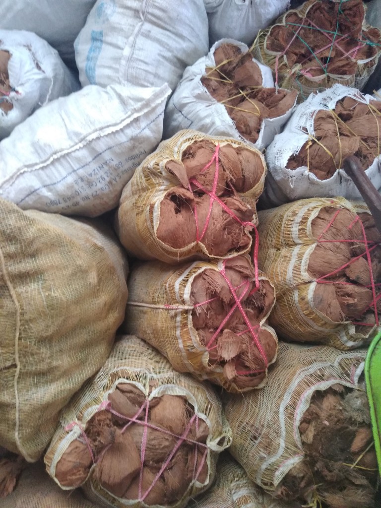 Capacho de coco