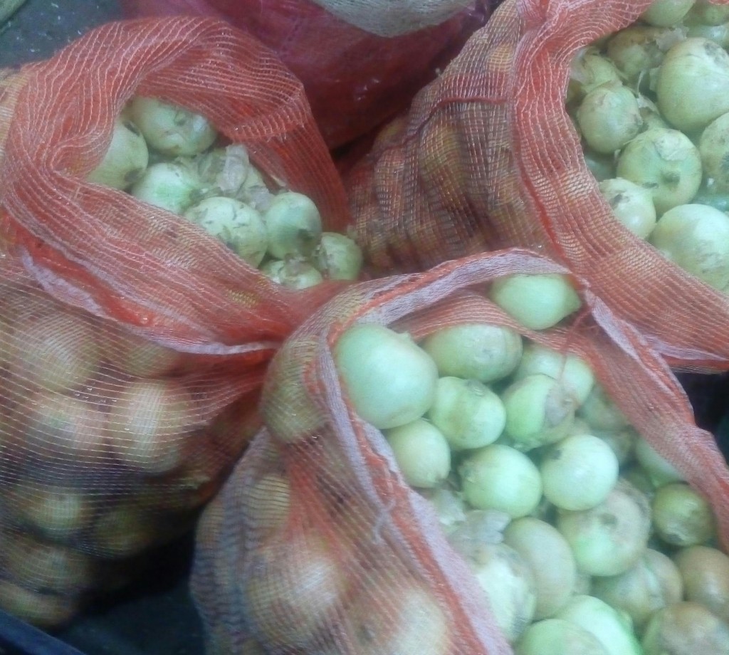 Cebolla cabezona gruesa