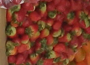 Fresas de primera