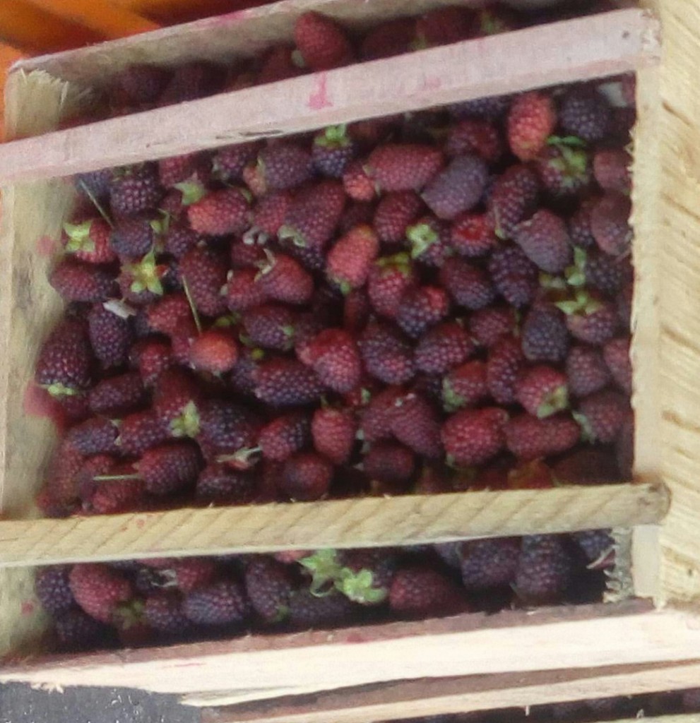 Mora