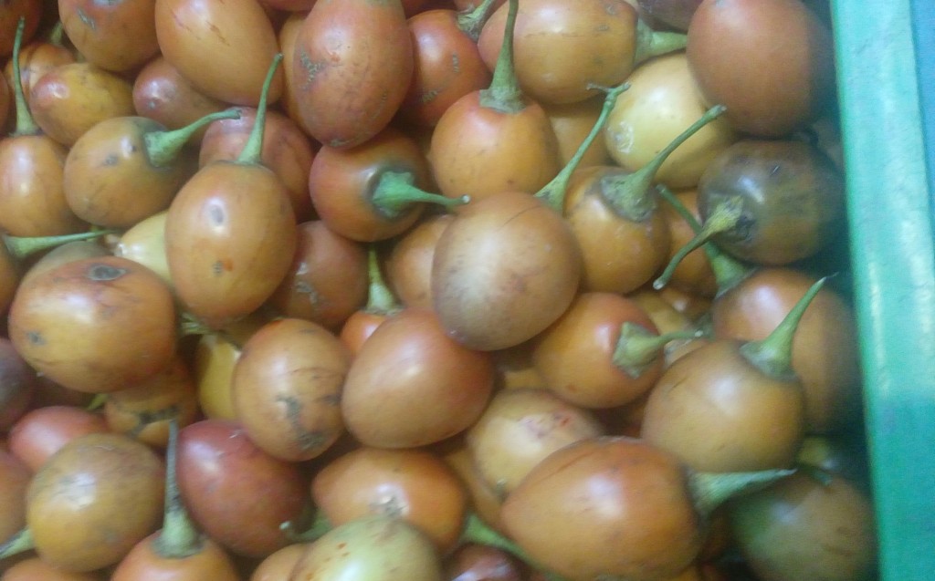 Tomate de árbol