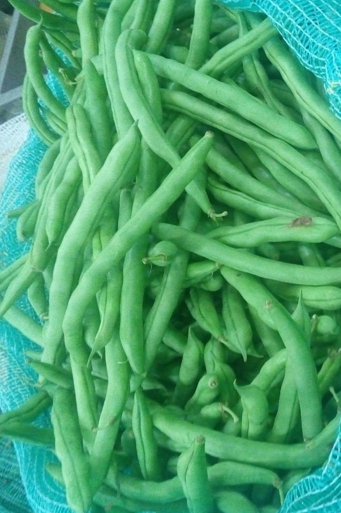Habichuelas